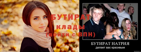 шишки Инта