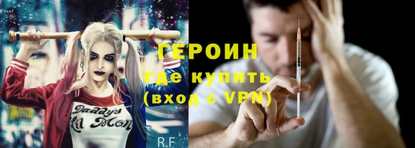 шишки Инта