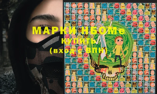 хмурый Инсар