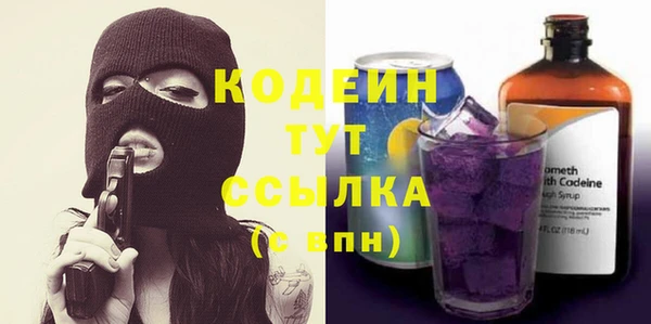 шишки Инта