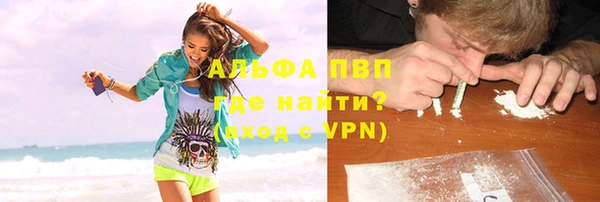 шишки Инта