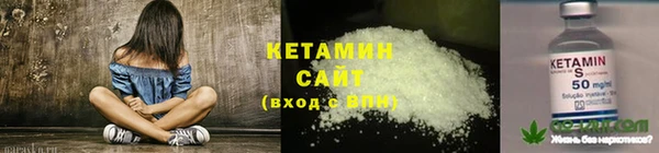 шишки Инта
