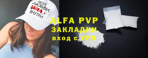 шишки Инта
