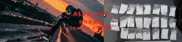 шишки Инта
