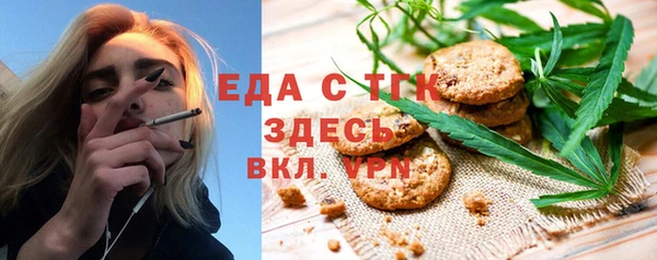 шишки Инта