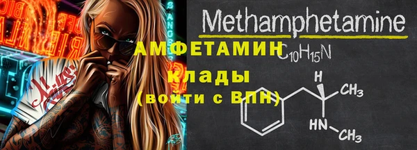 шишки Инта