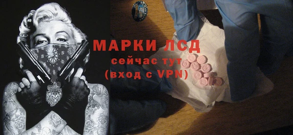 шишки Инта