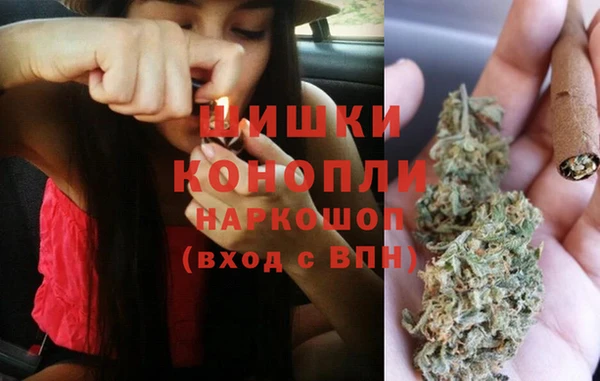 хмурый Инсар