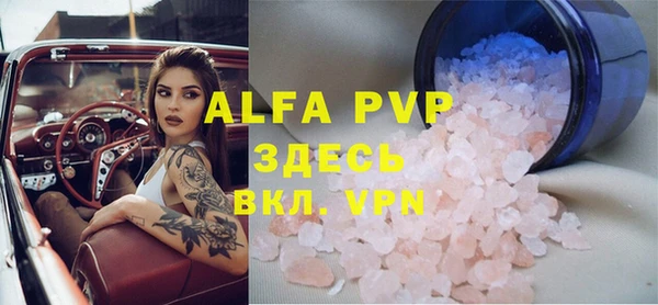 хмурый Инсар