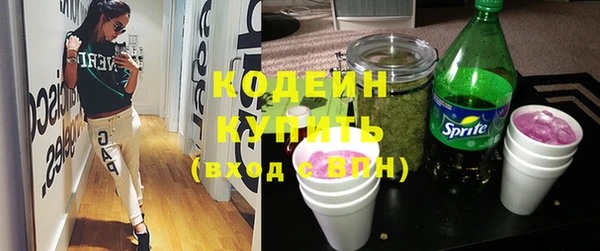 шишки Инта