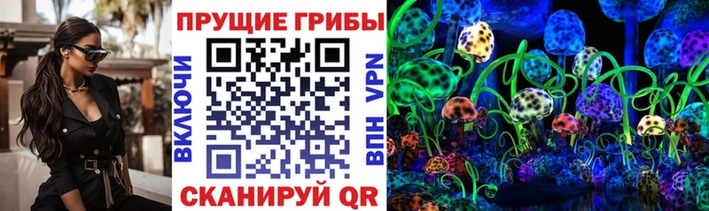 Купить где  Касимов  Галлюциногенные грибы Magic Shrooms 